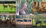 Screenshot Video Exkursion Dünnwalder Wald 2022